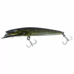 Chasebaits Skinny Dog Surface Popper Fishing Lure -Deals Fishing ReelsStore Chasebaits Skinny Dog Mullet 800x800 1