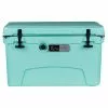 ChillMate 45 Cooler Box -Deals Fishing ReelsStore ChillMate 45 Cooler Box Sea Foam 01 1200x1200 1