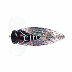 River2Sea Cicada Pop Surface Lure