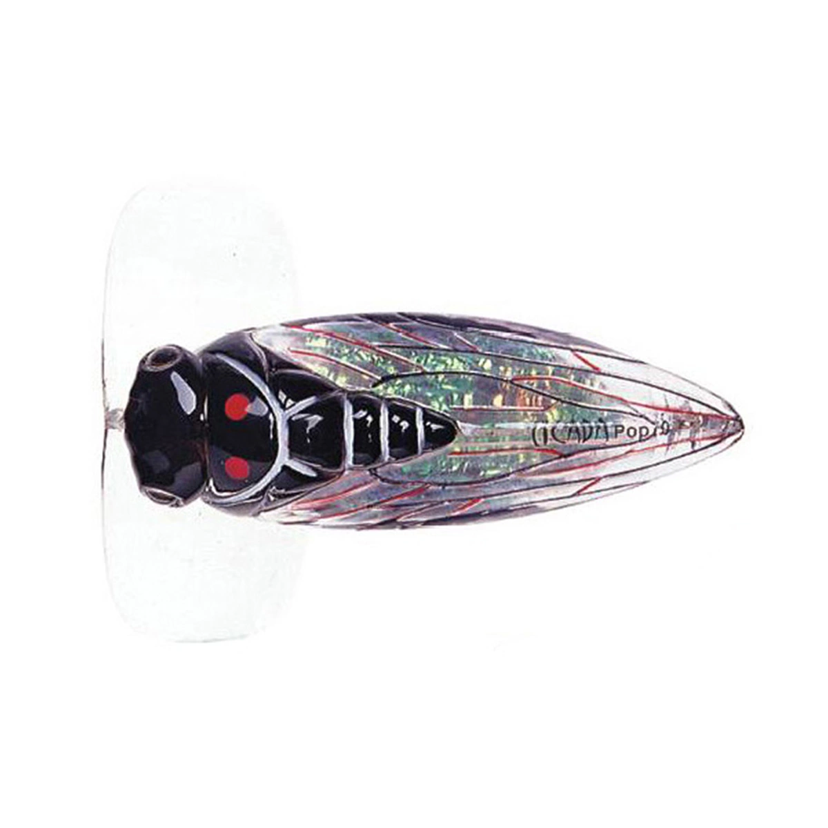 River2Sea Cicada Pop Surface Lure 3 River2Sea Cicada Pop Surface Lure