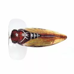 River2Sea Cicada Pop Surface Lure 10 River2Sea Cicada Pop Surface Lure -Deals Fishing ReelsStore Cicada Pop CP55 03 1200x1200 1