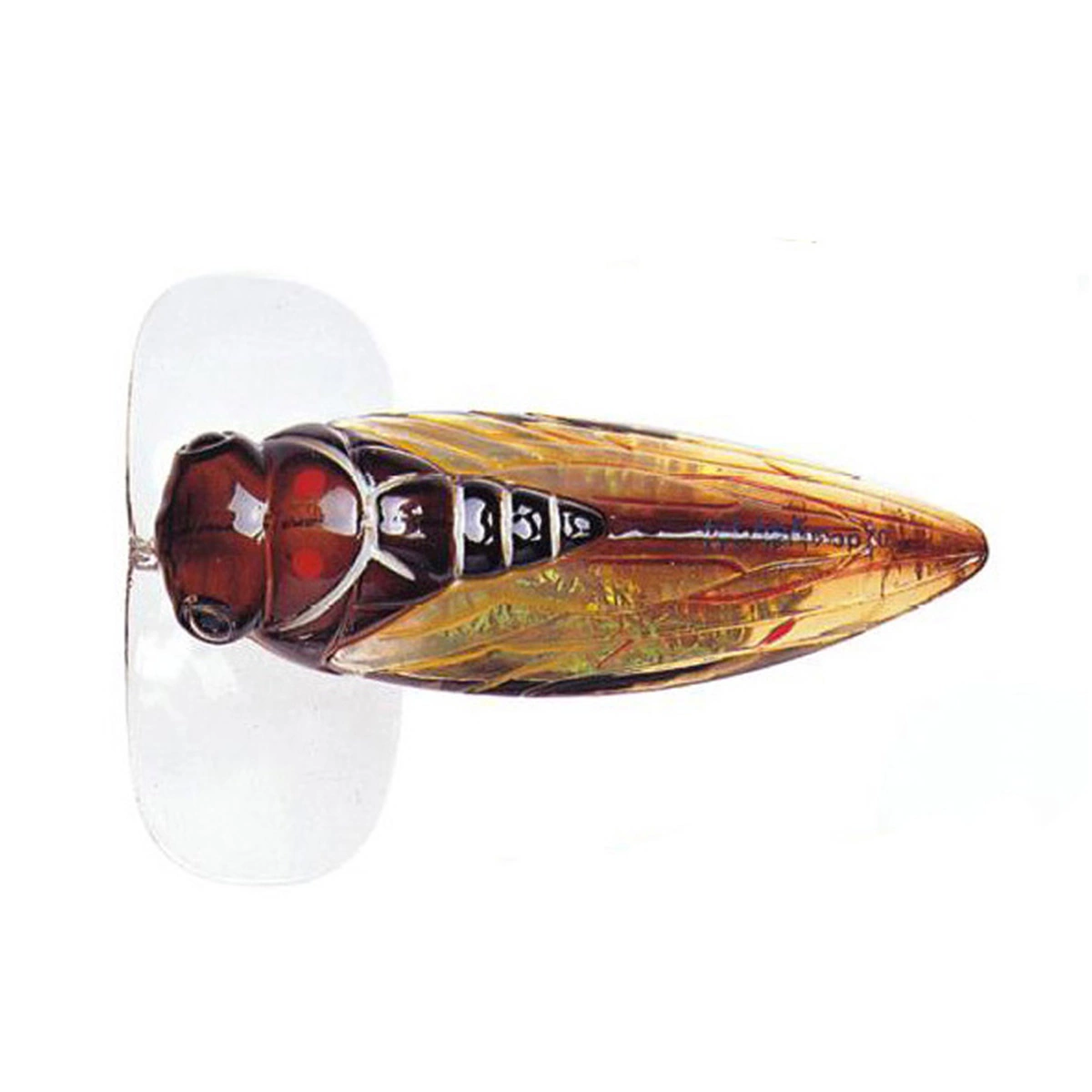 River2Sea Cicada Pop Surface Lure 5 River2Sea Cicada Pop Surface Lure - Image 3