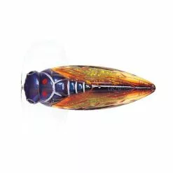 River2Sea Cicada Pop Surface Lure 12 River2Sea Cicada Pop Surface Lure -Deals Fishing ReelsStore Cicada Pop CP55 05 1200x1200 1