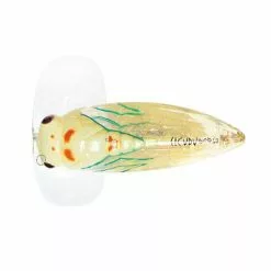 River2Sea Cicada Pop Surface Lure 13 River2Sea Cicada Pop Surface Lure -Deals Fishing ReelsStore Cicada Pop CP55 06 1200x1200 1