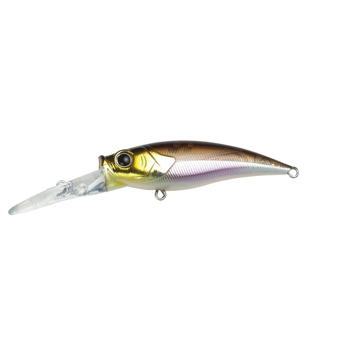 Crazee Shad 59SF/MR 5 Crazee Shad 59SF/MR - Image 3