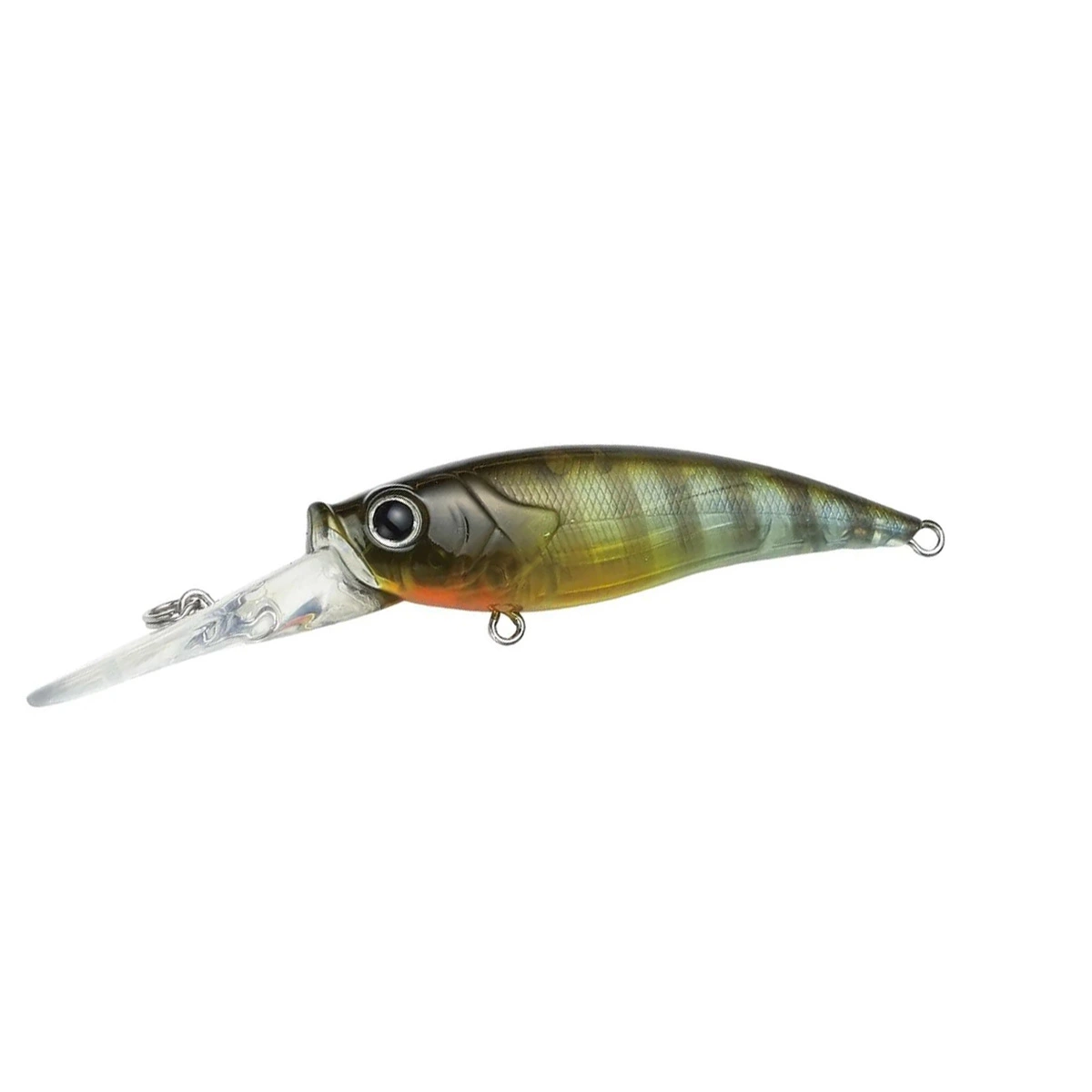 Crazee Shad 59SF/MR 6 Crazee Shad 59SF/MR - Image 4