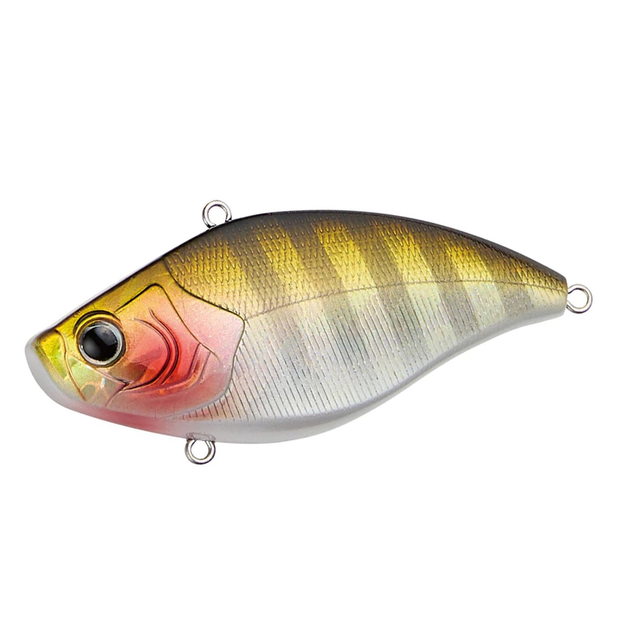 Crazee Vibration 4 Crazee Vibration - Image 2