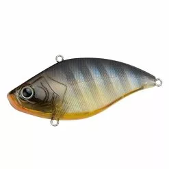 Crazee Vibration 10 Crazee Vibration -Deals Fishing ReelsStore Crazee Vibration Noike Gill 1200x1200 1