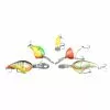 Rapala Mystery Tackle Box 1 Rapala Mystery Tackle Box -Deals Fishing ReelsStore Rapala Mystery Tackle Box 1