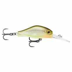Rapala Shadow Rap Fat Jack Lure -Deals Fishing ReelsStore Rapala Shadow Rap Fat Jack Haymaker 1200x1200 1