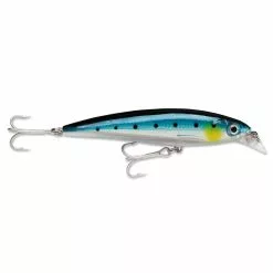Rapala X-Rap Saltwater Hardbody Fishing Lure -Deals Fishing ReelsStore X Rap Saltwater Blue Sardine 1200x1200 1